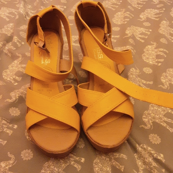 Plantfo - Picture 1 of 4